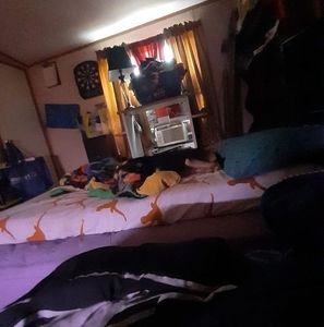 Meet your Posher, Robin